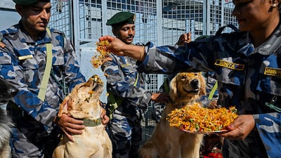 Nepalese officers shower service animals with marigolds during Kukur Tihar, a celebration dedicated to dogs, during Diwali, at the Armed Police Dog Training School in Kathmandu. AFP