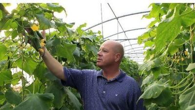 Bart Rehbein, the managing director of Epic Green Solutions, at a cucumber farm in Al Ain. Ravindranath K / The National