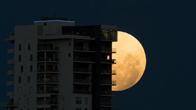 The super blue blood moon rises over the city of Perth, Australia. Richard Wainwright / EPA.