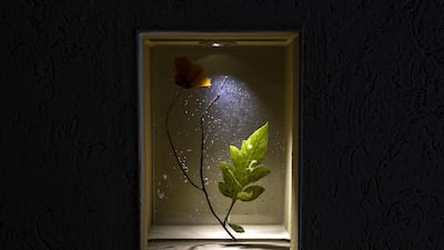 Canvas, stone and plant art work amplify the voices of women and tell of their contributions. Victor Besa / The National