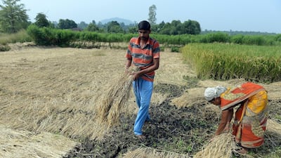 For farmers, the Covid-19 pandemic could weaken a sector that is already facing myriad of challenges. AFP