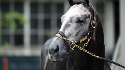 Frosted has never won in four previous races at 2,000 metres Al Bello / Getty Images
