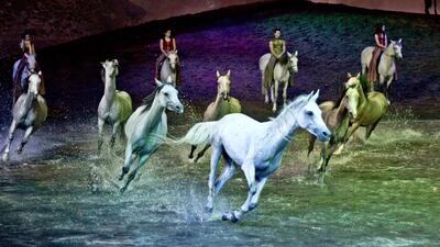 Eight horses step elegantly into the shallow pool for a precisely choreographed equine ballet, and create quite a splash — enough to drench members of the audience in the front row, who seek towels afterwards. Courtesy: Abu Dhabi Tourism & Culture Authority