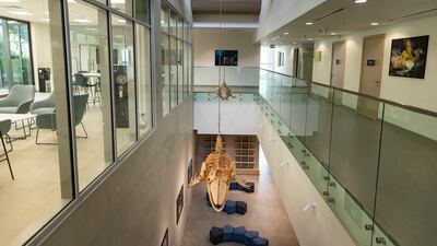 The centre will provide an opportunity to show science need not be perceived as solely an academic pursuit