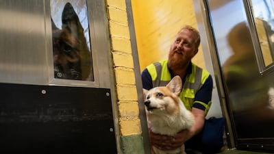 The centre works with airlines to ensure animals are well looked after and meet requirements that allow them to travel without having to quarantine