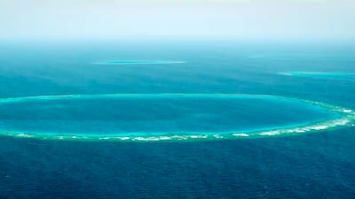 Blue holes discovered in the Red Sea are being studied by scientists in Saudi Arabia. Photo: NCW Centre
