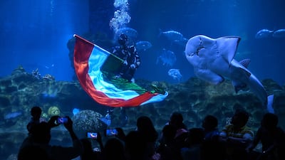 A scuba diver displays India's national flag at a marine aquarium on the eve of the country's Independence Day in Chennai. AFP