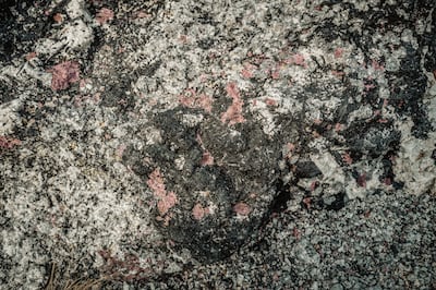 Exposed rock at the Tanbreez rare earth minerals site, near Narsarsuaq, the gateway settlement to southern Greenland, on Monday, May 5, 2025. Bloomberg