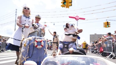 A dog in costume joins the 37th annual Coney Island Mermaid parade in Brooklyn, New York, USA, 22 June 2019. The annual event is one of the country's biggest art parades and features many people in costumes. Photo: EPA