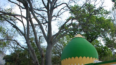 The kramat of Sheikh Abdurahman Matebe Shah beneath the oak trees in Constantia.