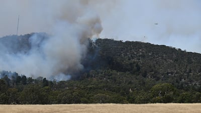 A firefighting helicopter flies above a bush fire near Harcourt, Victoria, south-eastern Australia. EPA