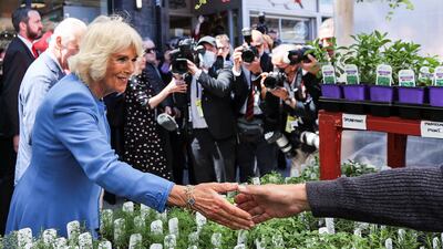 Britain's Camilla, Duchess of Cornwall visits an outdoor market stall at ByWard Market, on the second day of the Canadian 2022 Royal Tour, in Ottawa. Reuters