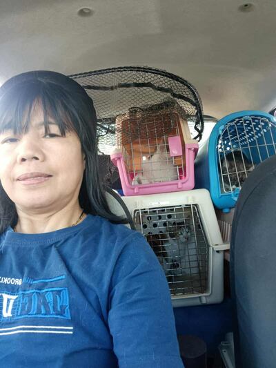 Cynthia Lao is a cat rescuer in Dubai who is looking for a home for herself and her 26 cats. Photo: Cynthia Lao