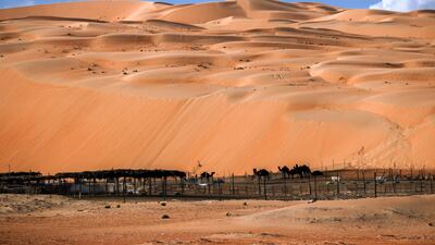 Near the Qutuf watchtower which guarded the southern approaches to settlements in the central part of the Liwa Crescent, inhabited by the Mahadhar, in Abu Dhabi. Victor Besa / The National