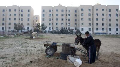 Salah abu Safi,16, as he prepares his donkey and cart at Sheik Zayed City where his family lives in the Gaza Strip. Heidi Levine for The National