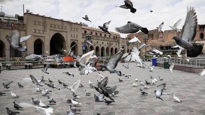 Pigeons flying in an empty square outside Erbil Citadel in the capital of the northern Iraqi Kurdish autonomous region. AFP