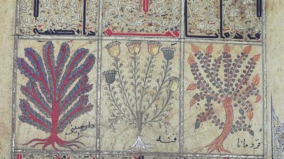 Workers scan pages from books into a digital format, with a target of up to 2,000 pages a day, enabling internet access for all. Pawan Singh / The National