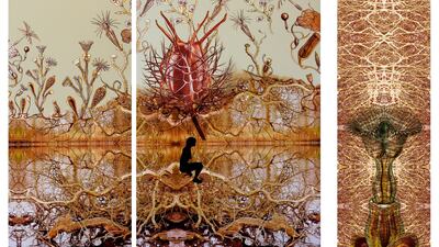 Sonia Mehra Chawla's 'Embryonic Plant'. Courtesy the artist and 1x1 Art Gallery