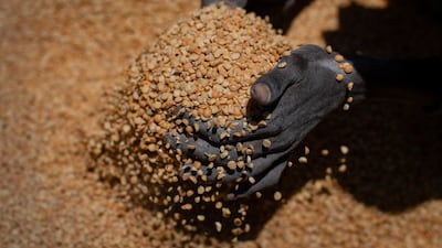 An Ethiopian woman scoops up portions of yellow split peas to be allocated to waiting families. A 'de facto blockade' is preventing vital supplies from reaching Tigray, a region of six million people. AP