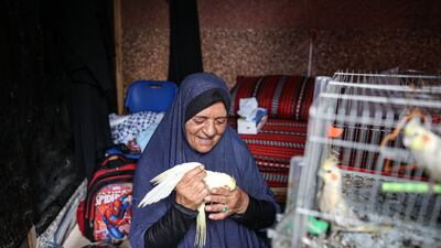Fakhar Taj Shaer from Gaza said the war 'will not stop me from feeding the animals'.