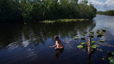 It is a small victory, he says, in a bigger battle. Cuban crocodiles, an endemic species found only here and in a swamp on Cuba's Isle of Youth, are critically endangered and have the smallest natural habitat left of any living crocodile species, scientists say.