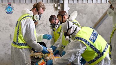 Cleo was found 'alive and well' on November 3 following an extensive air and land operation. AFP