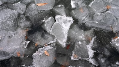 Ice flows through the tidal basin in Washington. Reuters