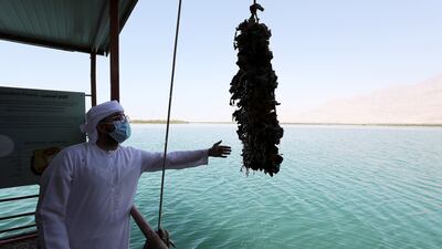 Mr Al Khaled explaining the oyster-breeding technique at the farm.