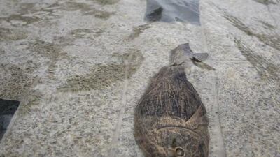 The park has been designed to provide as many opportunities for play, entertainment, education and relaxation as possible. Silvia Razgova / The National