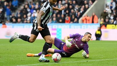SOUTHAMPTON RATINGS: Alex McCarthy 7: Wayward Newcastle finishing meant Saints goalkeeper never had to face shot on target in opening 45 minutes, although Gordon did clip outside of post. No chance with any of the goals, even when he was rounded by Wilson for third, and made several good stops. Getty