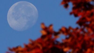 The moon sets beyond a colourful maple tree at the National World War I museum in Kansas City, Missouri. AP Photo