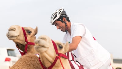 Riders get their camels ready for the 25km marathon in Dubai. Reem Mohammed / The National