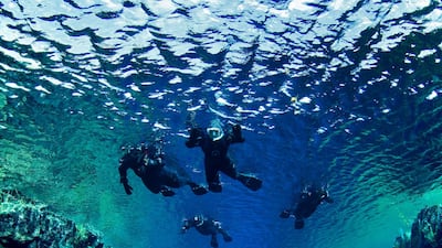 Snorklers in the continental crack of Silfra, freshwater, Iceland, Atlantic Ocean. Photo by Tobias Friedrich Schnorchler in der Kontinentalspalte Silfra, Süßwasser, Island, Atlantischer Ozean.