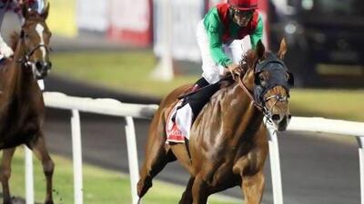 The immediate future of Dubai World Cup winner Animal Kingdom is uncertain as jockey Craig Williams is hoping to race the horse in June. Sammy Dallal / The National