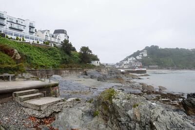 Coastal erosion, intensive farming and pesticides are killing off the plants that support bees' eco-system. Polly Stock for The National