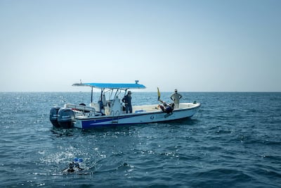 Fieldwork for the survey was carried out between 2023 and the end of last year. Photo: Environment Agency Abu Dhabi