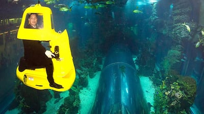 Get up close and personal by scooting your way through the shark and fish life at Dubai Aquarium & Underwater Zoo. Courtesy Dubai Aquarium & Underwater Zoo.