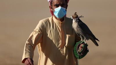 A handler holds a falcon. Getty Images