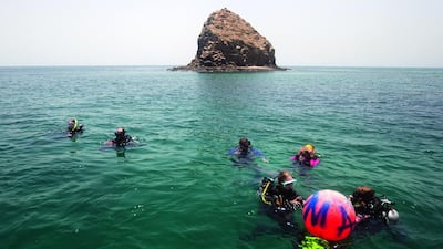 Sarah Dea / The National