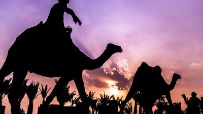 The sun sets behind sculptures of camels in Lahore, Pakistan. Omer Saleem / EPA