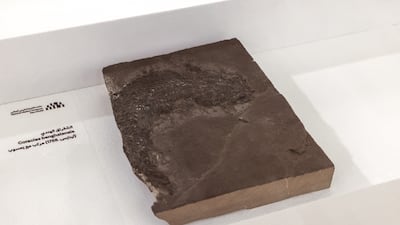 A fossil of the fish Gryoptychius agassizi, which is 420 to 360 million years old, found in Orkney Islands, Scotland