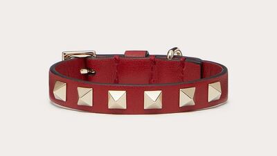 Garavani Rockstud pet collar, Dh1,100 ($299), Valentino. Photo: Valentino