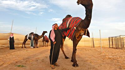 Rames Saleh al Menhali, who owns 70 black camels, stands with his prize camel, Wahaidah, at the Al Dhafra Festival. Jeff Topping / The National