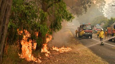 Firefighters conduct back-burning measures to secure residential areas from encroaching bushfires in the Central Coast, some 90-110 kilometres north of Sydney. AFP