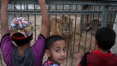 Palestinian children at the Besan City for Entertainment in Gaza City.