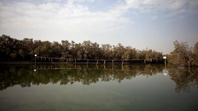 A fence and a sign post warns kayakers not to enter the area designated for "Arresting and Rehabilitation of Eastern Mangrove Erosion" in the Eastern Mangroves near the East Road. (Silvia Razgova/The National)