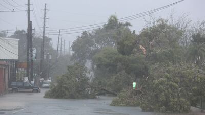 Fallen trees block a street in Puerto Rico. Alvin Baez / Reuters