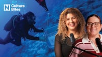 A 4,700-year-old shipwreck and the stories it brings to life