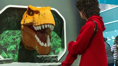 Natural Brickstory explores 13.8 billion years of natural history through Lego. Ruel Pableo for The National
