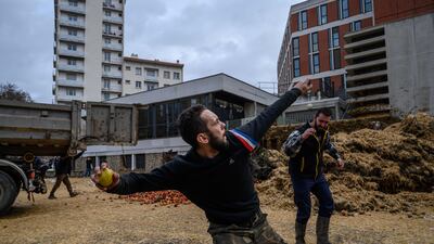 A protester throws apples as farmers from the Midi-Pyrenees region of southwestern France dump waste and manure outside a government building during a protest against taxation. AFP